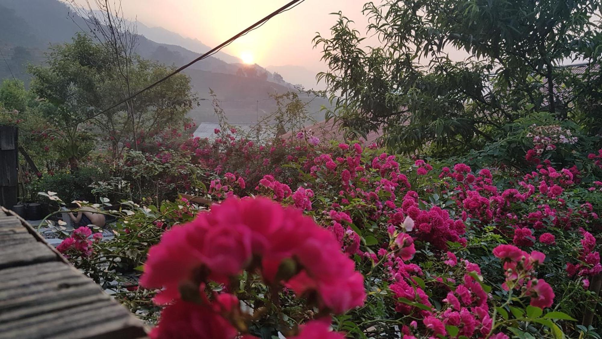 Tavan View Homestay Sapa Bagian luar foto