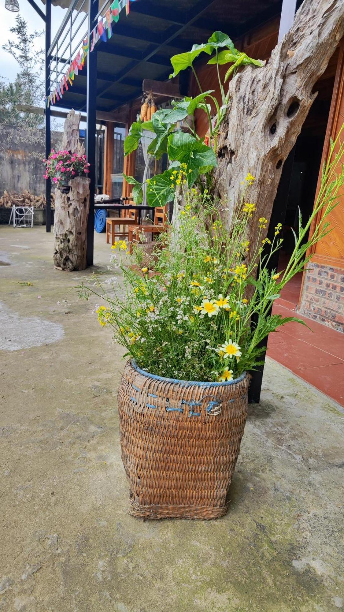 Tavan View Homestay Sapa Bagian luar foto
